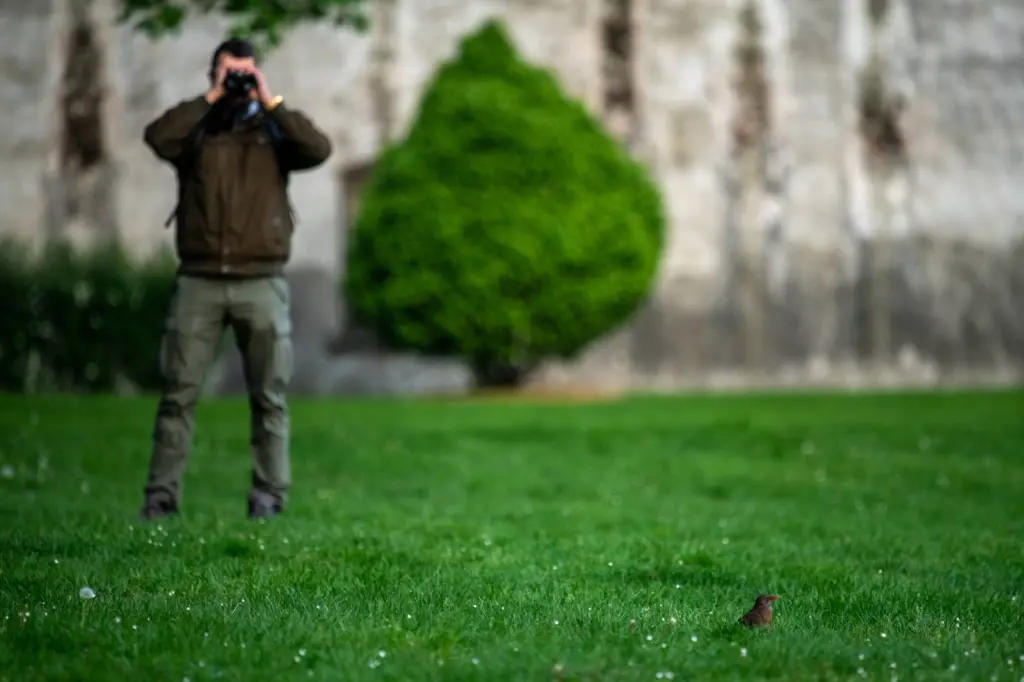 2025 5 Mikula low 8 1 1024x682.jpg