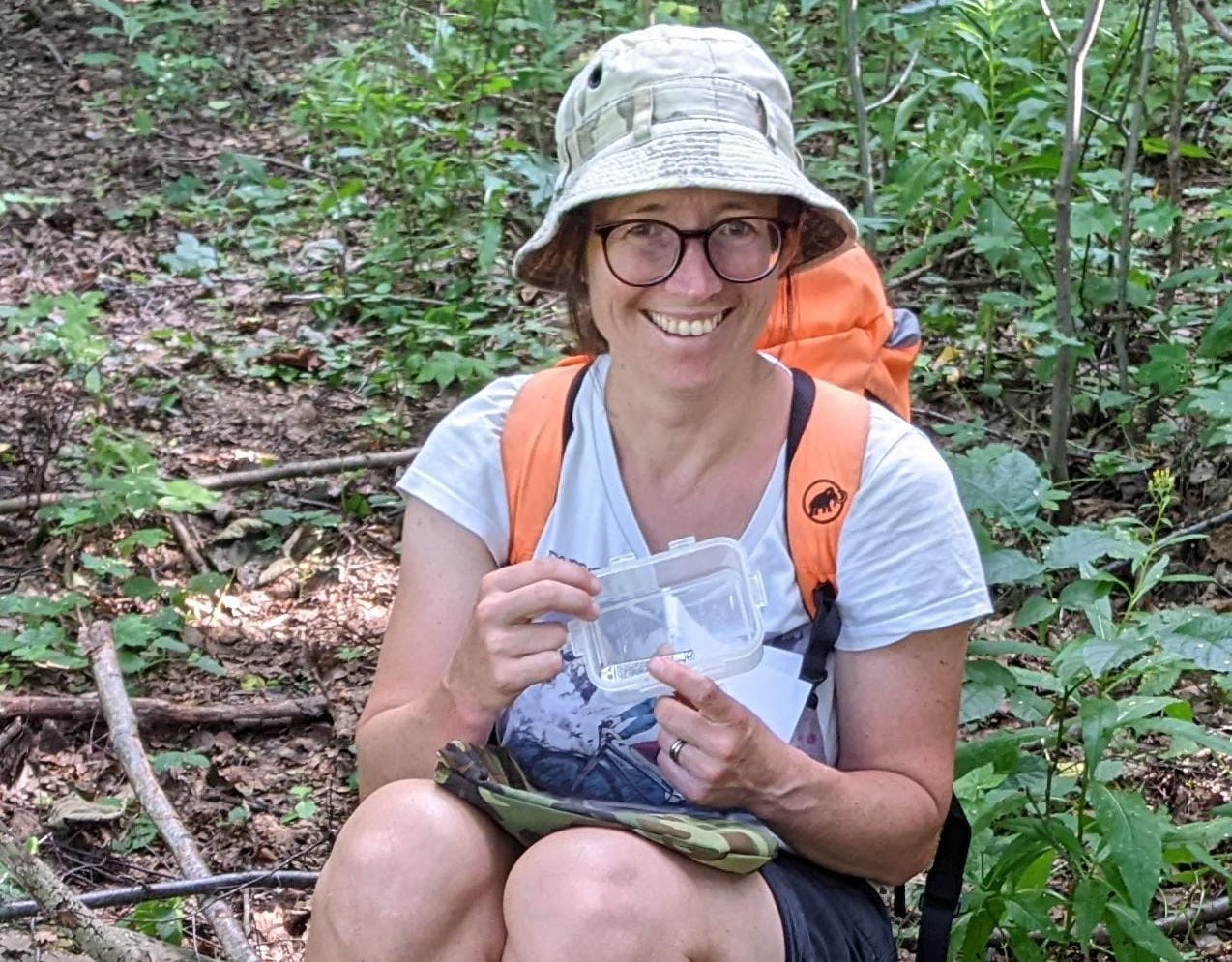 Blanka Collis2 forest