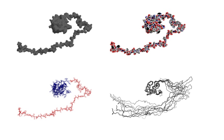 CEITEC protein