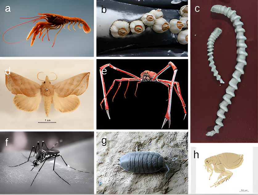 Obrázek má dogenerované rozlišení umělou inteligencí Drabkova 1