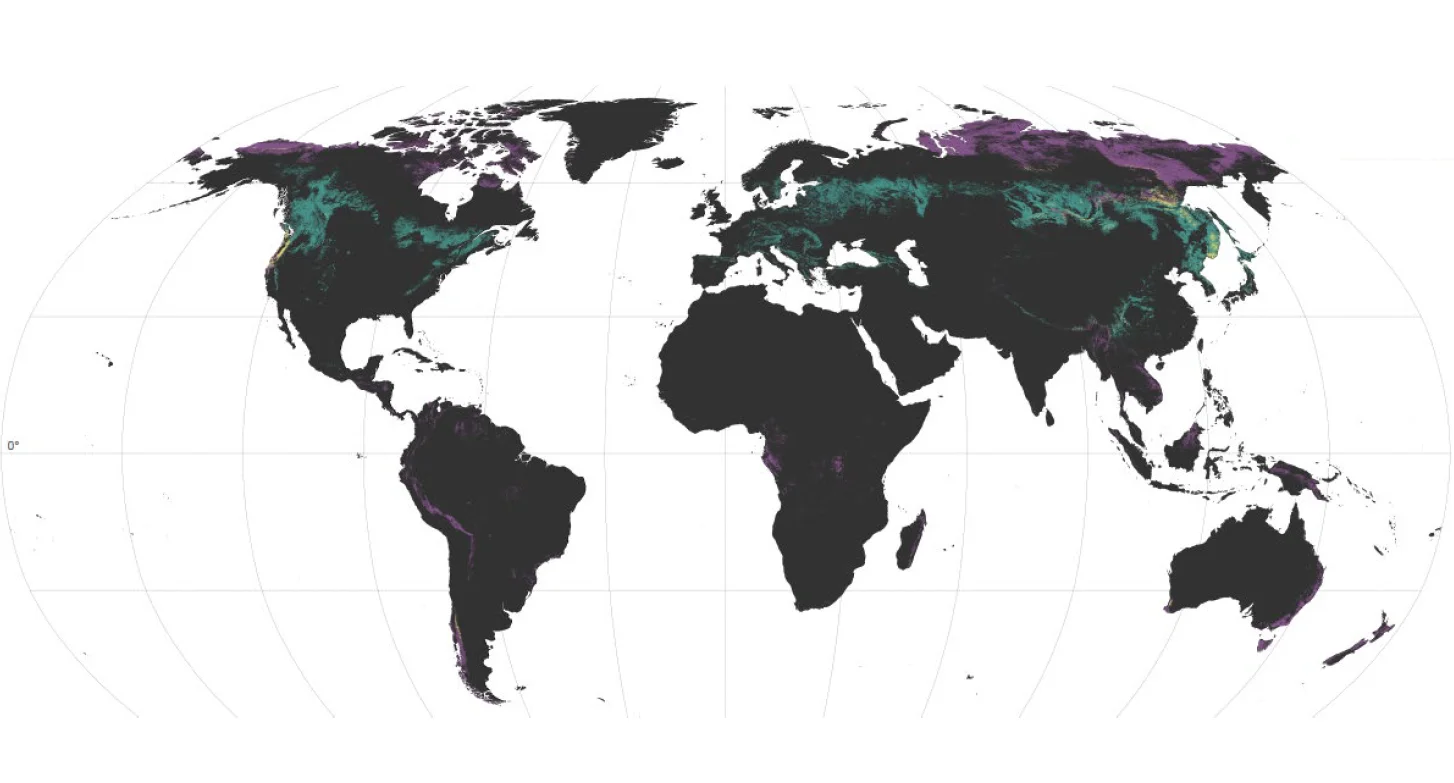 MBU Nature GlobalFungi