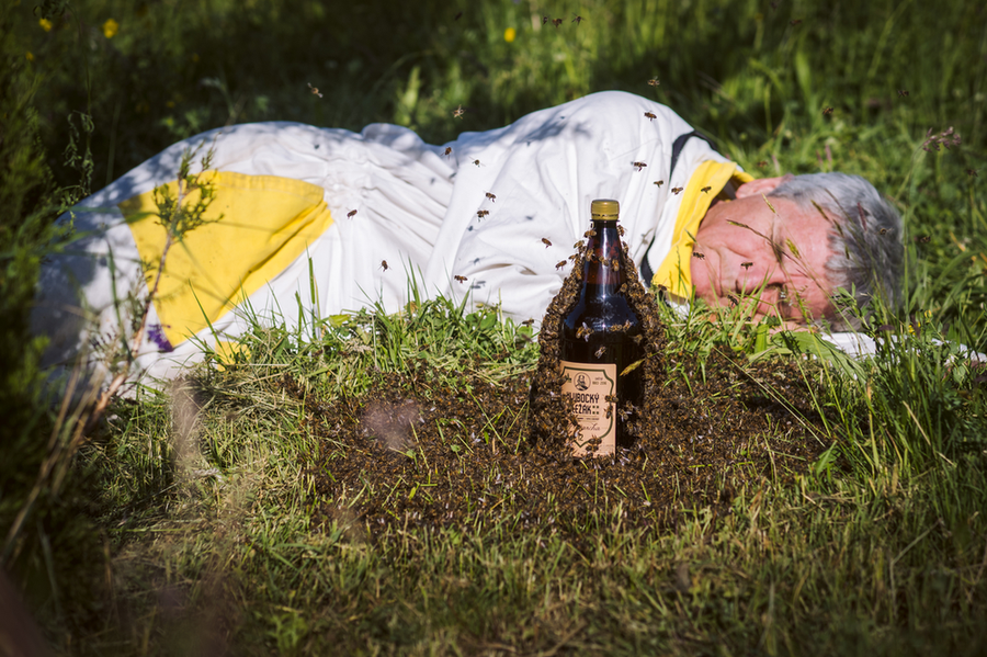 Sweet dreams with beers2