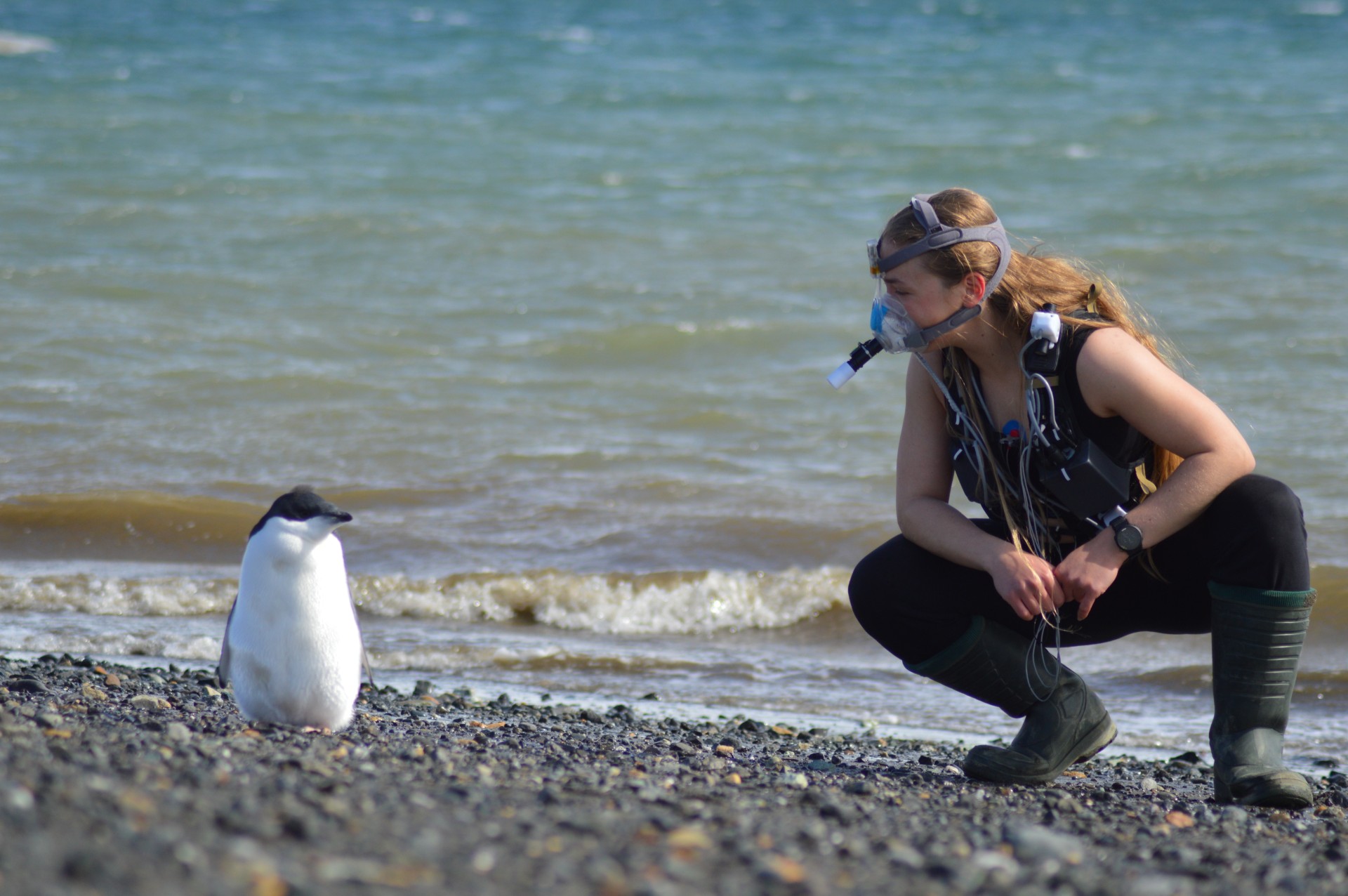 Tshirt Archiv Lucie Rackove
