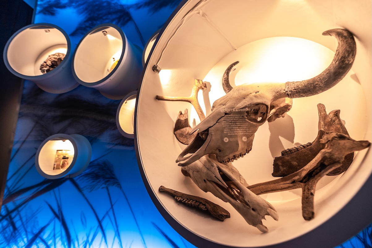 Veda ve sluzbach verejnosti4