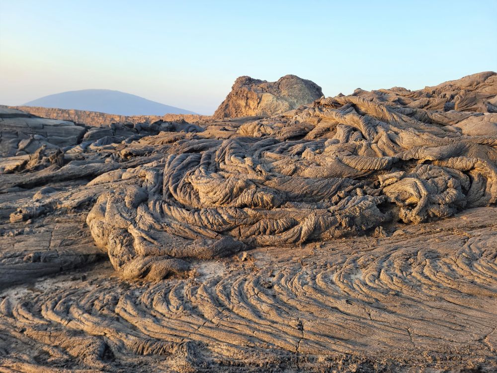 Verner provazovita lava
