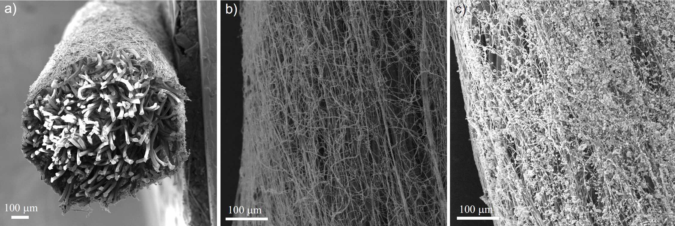 dentalni nanonit pod mikroskopem