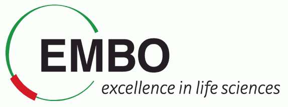 logo embo