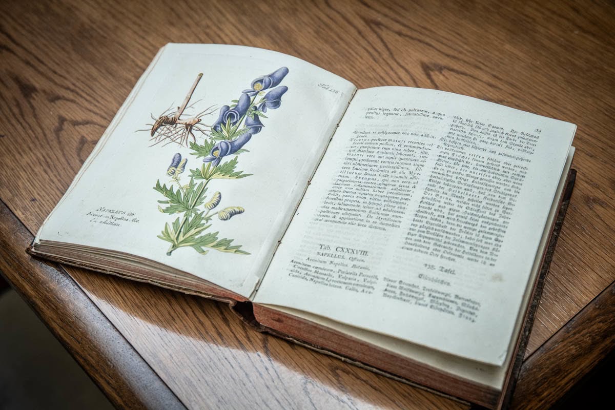 Oměj šalamounek obsahuje toxický alkaloid akonitin, jeden z nejprudších rostlinných jedů (na snímku publikace Icones plantarum od F. B. Vietze) AVCR omej salamounek