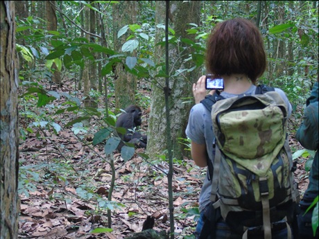 Barbora Pavco dzungle