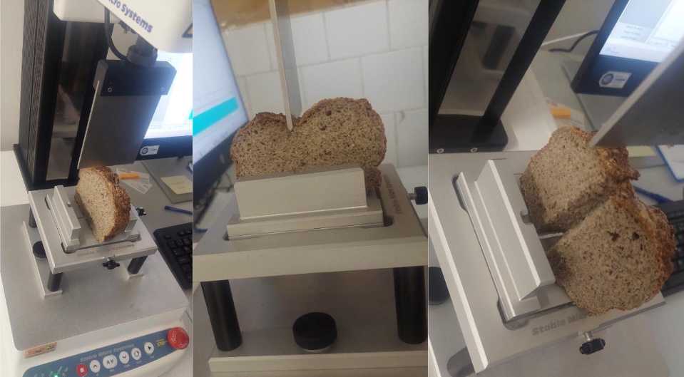 Texturometr s řezací sondou Olga Stoklaskova2