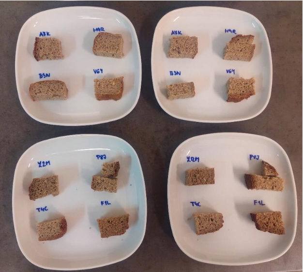 Foto ze senzorické analýzy