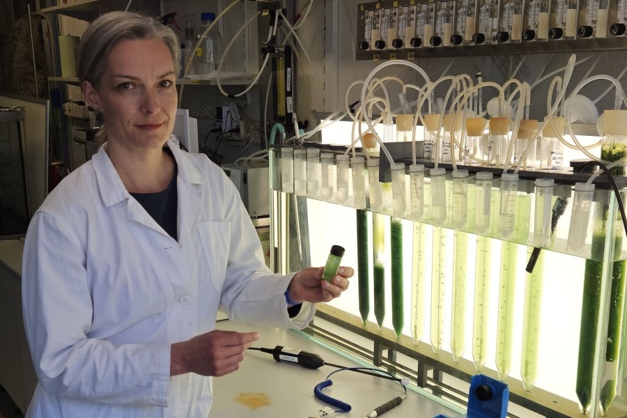 Irena Brányiková, vědecká vedoucí experimentu METRO