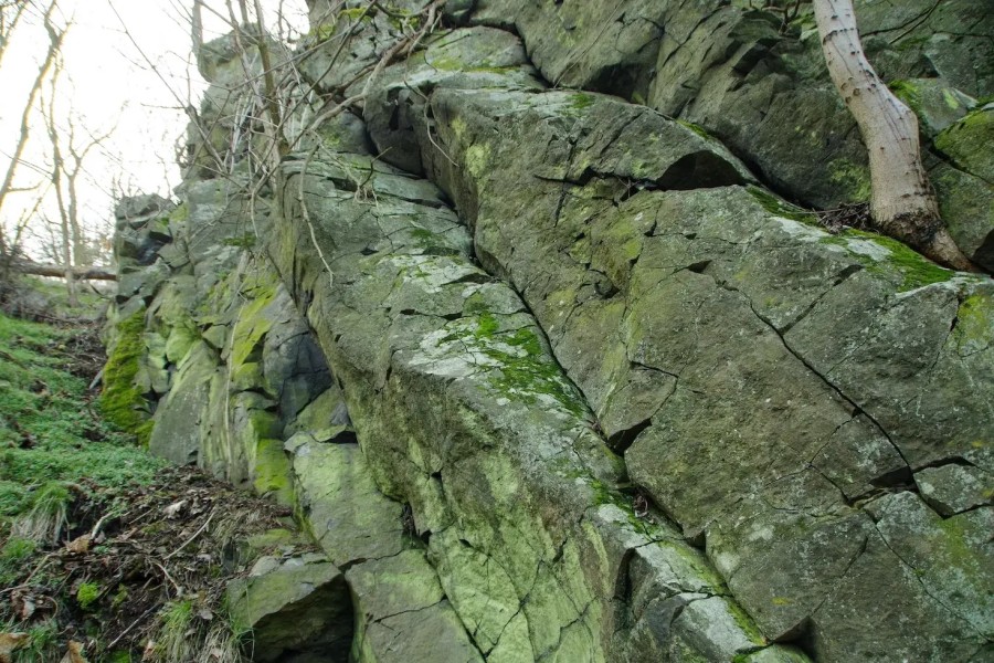 Detail sloupcovité odlučnosti nefelinitu/ Foto: Jan Černý