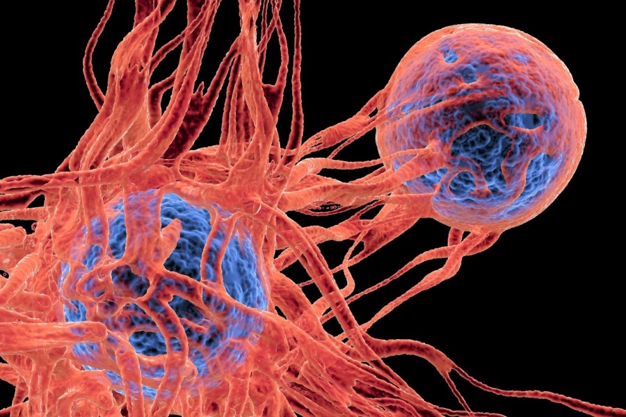 Ilustrační obrázek rakovinné buňky | Foto: Science Photo Library, Canva.com