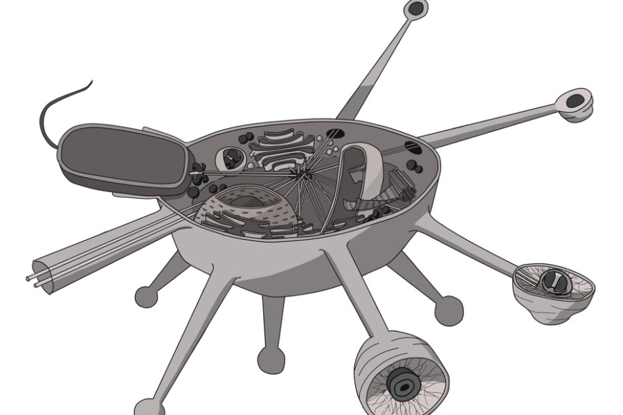 Černobílá ilustrace průřezu buňky Solarion