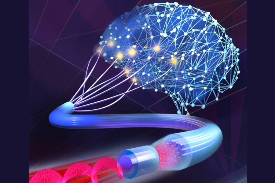 Grafika: Monika Tomanová