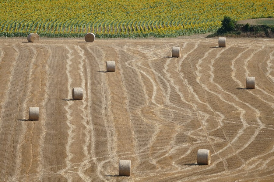 Ilustrační obrázek | Foto: Wikimedia